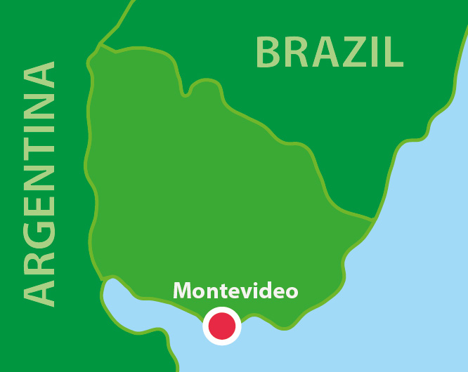 BrazyliaOsobno PL